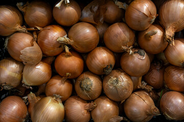 onions on the market