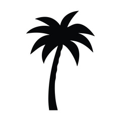 Single bold palm tree stands starkly in silhouette form, its silhouette transparent