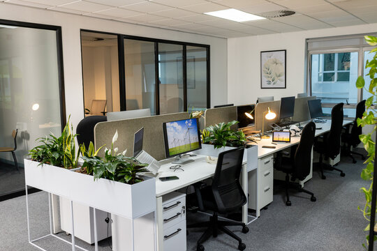 White office desks are hosting monitors and laptops amid grey dividers and green plants
