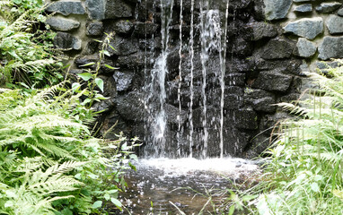 a small waterfall cascading over rocks surrounded by green plants