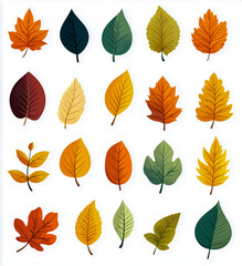 Obraz premium Collection of colorful autumn leaves isolated on white background
