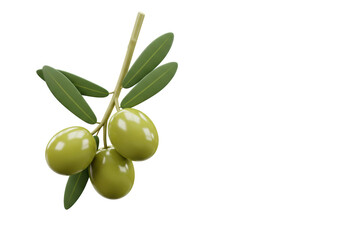 Isolated Olive Branch with Fresh Green Olives