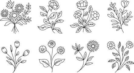 flowers and leaves bundle silhouette line art design illustration premium quality