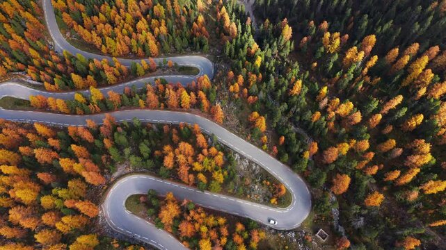 Izoard Pass (Col d'Izoard) and hairpin turns of the famous road D902 (aerial view). Autumn and larch tree forest in Hautes-Alpes (05), Alps, France