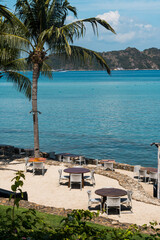 Outdoor beach dining with palm tree, round tables, and turquoise sea view in tropical Labuan Bajo