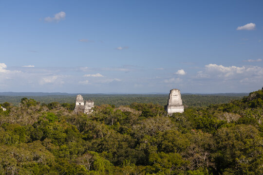Aerial view of ancient Mayan temples of Tikal piercing through the dense emerald canopy under a serene blue sky, Tikal, Pet&Atilde;&copy;n Department, Guatemala.