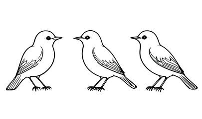 "Vector Outline of Three Birds Perched in Side View"