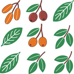 Obraz premium Adobe Illustrator Artwork