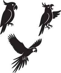 Black and White silhouette of parrot