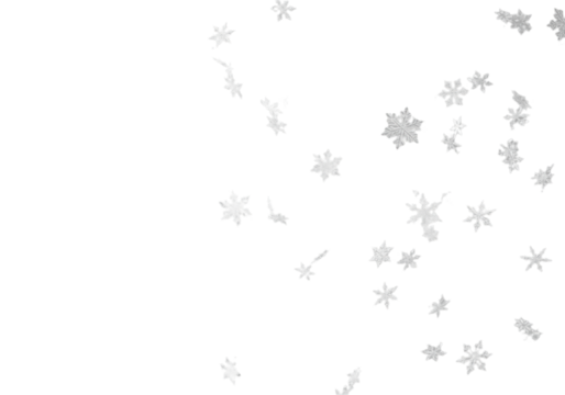 Numerous intricate crystalline snowflakes of various sizes, frozen mid-air on a seamless light gray background with soft white copy space, perfectly illuminated studio product photography concept for - Powered by Adobe