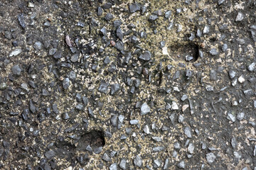 Dark cement floor with small stone for texture or background
