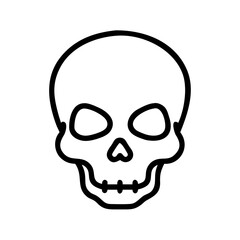 human skull vector illustration