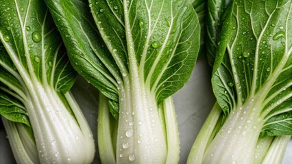 Fresh Bok Choy with Water Droplets on Leaves Showcasing Healthy Green Vegetables Surrounded by Natural Light