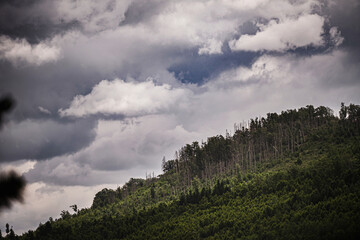 Storm Clouds Over Lush and Sparse Forested Hillside