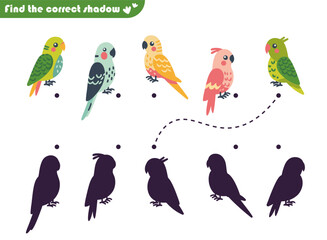 Education puzzle game for children, find the correct shadow, with budgies parrots of green, pink, blue and yellow colors