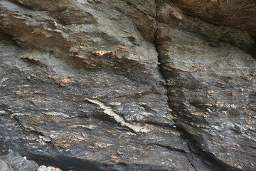 Texture and background of natural gneiss metamorphic rock with complex folding and contortions, banded or striped due to aligned minerals, coarse or fine grained.