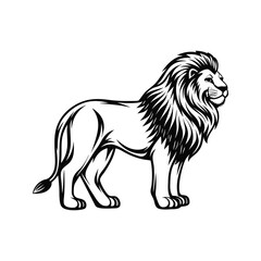Fototapeta premium Majestic lion illustration black and white animal