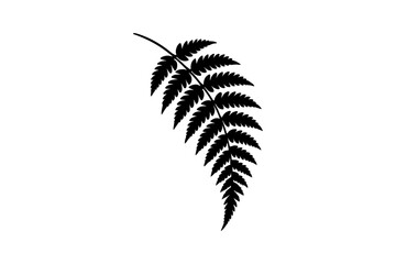 Obraz premium Silhouette of a Leafy Fern Frond Curved Downward