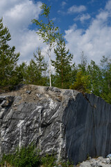 Birches, pines and firs on top of a marble cliff in old quarries in the Ruskeala Mountain Park in Karelia