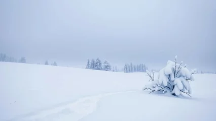 Wanddecoratie Huisarts Atemberaubende Winterlandschaft mit schneebedeckten Tannen, Bergen im Hintergrund und klarem blauen Himmel. Idyllische Naturaufnahme in hoher Auflösung, perfekt für Winterdesigns und Weihnachtsmotive.  © Kathy