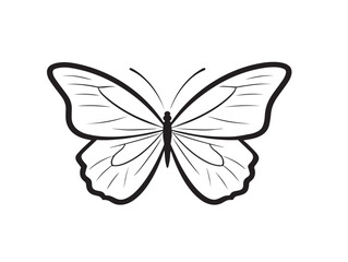Artistic Butterfly Line Art For Elegant Designs