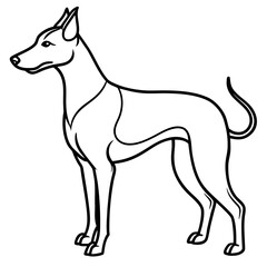 Elegant greyhound dog silhouette isolated on white background