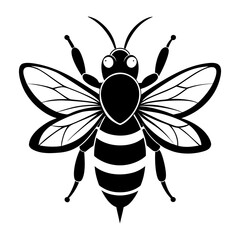 Fototapeta premium Bee flying near flower simple vector illustration on white background