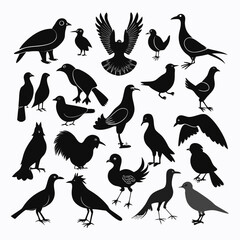Obraz premium Avian Silhouettes: An array of elegant black bird silhouettes, poised in varied postures, creating a sophisticated design, with detailed features, suitable for a variety of design applications.