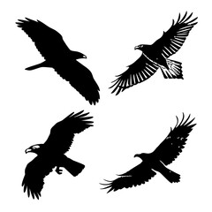 Four Black Eagle Silhouettes In Flight bird