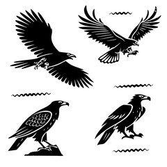 Four black eagles in flight and perched hawk bird