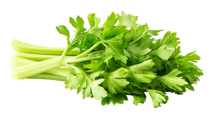 Fresh Celery Stalks and Leaves Healthy Green Vegetable