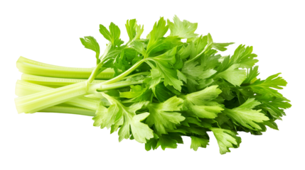 Fresh Celery Stalks and Leaves Healthy Green Vegetable
