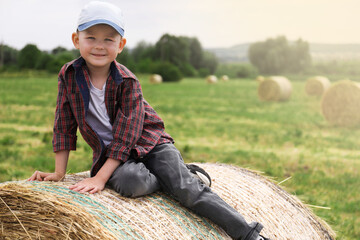 Little boy on hay bale in field at summer. Space for text