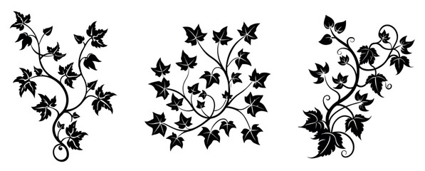 Ivy Vine Silhouette Vector Set