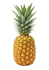 Obraz premium A single, perfectly ripe golden-yellow pineapple with a fresh green crown, isolated on a transparent studio background with bright, shadowless lighting, sharp focus, slightly high angle shot. Concept