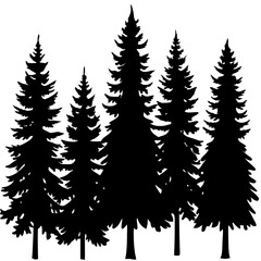 Fototapeta premium A group of tall pine trees in silhouette isolated on white background