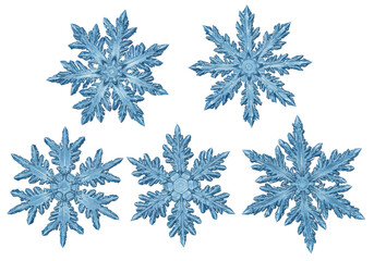Six unique, translucent blue snowflakes with intricate crystalline structures and sharp points, detailed in photorealistic macro top-down view on a pristine clean white background with no shadows,