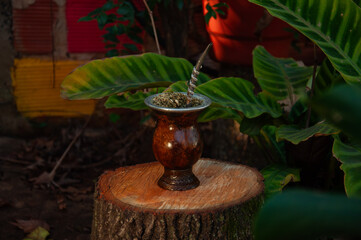mate argentino sobre un tronco. mate con yerba mate y pava de acero. naturaleza. © Daniel