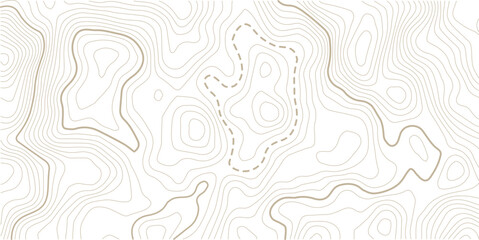 The stylized height of the topographic map contour in lines and contours isolated background. Vintage outdoors style. Black and white lines seamless Topographic map patterns, topography line map.