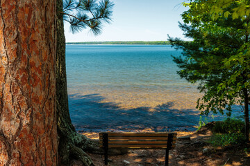 Overlooking Trout Lake on a clear morning in early July, near Boulder Junction, Wisconsin
