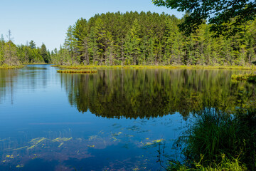 Under a blue sky in early July, the calm water of Devils Lake near Boulder Junction, Wisconsin, reflects the shoreline pines