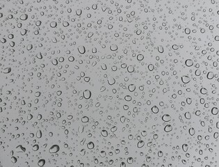 raindrops on a glass surface. raindrop symphony