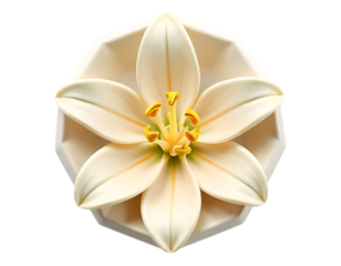 Elegant White Lily Flower with Detailed Petals on Octagonal Base