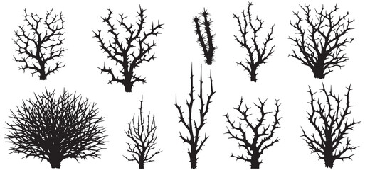 silhouette small jungle bare tree and branches set, vector illustration