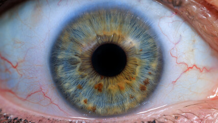 human eye in blue