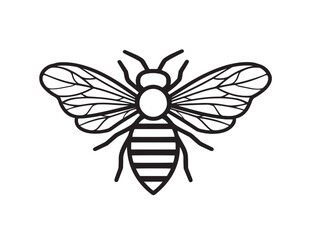 Honeybee outline drawing with clean vector style
