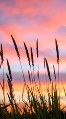 Silhouetted grasses at sunset