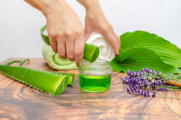 Aloe vera, towel, hands, lavender. DIY recipe for acne and dry skin. Aloe vera gel for skin problem.