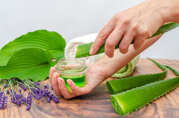 Aloe vera, towel, hands, lavender. DIY recipe for acne and dry skin. Aloe vera gel for skin problem.