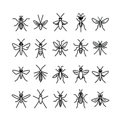 Black insect outlines on white mosquito